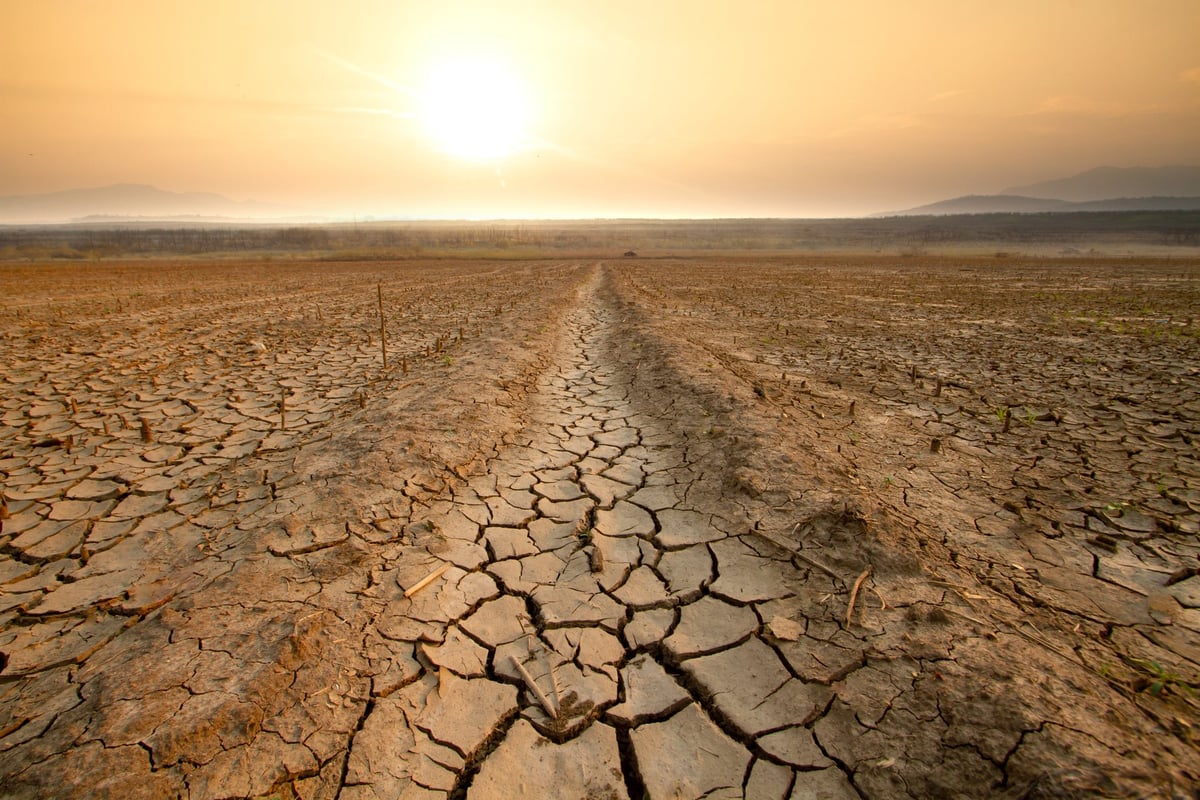 Drought affected agricultural land representing water crisis